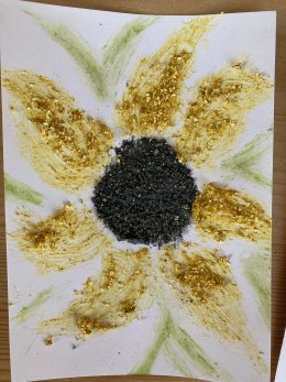 Angebot der Schule AdS